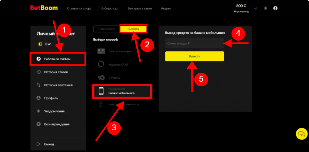 Вывод BetBoom через мобильный номер – фото bukmekerskie-kompanii.ru