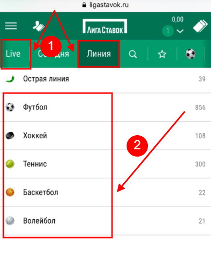 Liga Stavok mobi выбор вида спорта – фото bukmekerskie-kompanii.ru